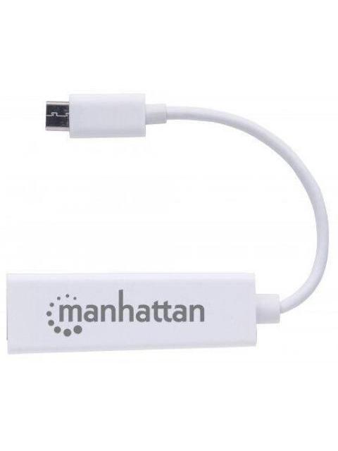MANHATTAN TARJETA DE RED 507585 DE 1 PUERTO 100MBIT-S USB-C