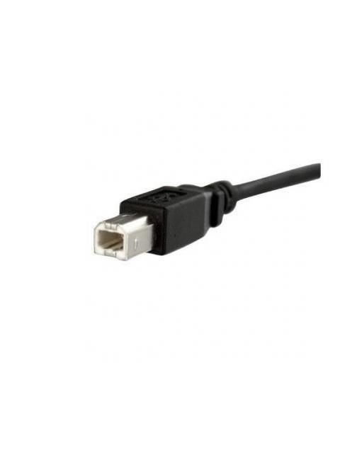 STARTECH  CABLE USB DE MONTAJE EN PANEL USB B MACHO - USB B HEMBRA 30CM NEGRO