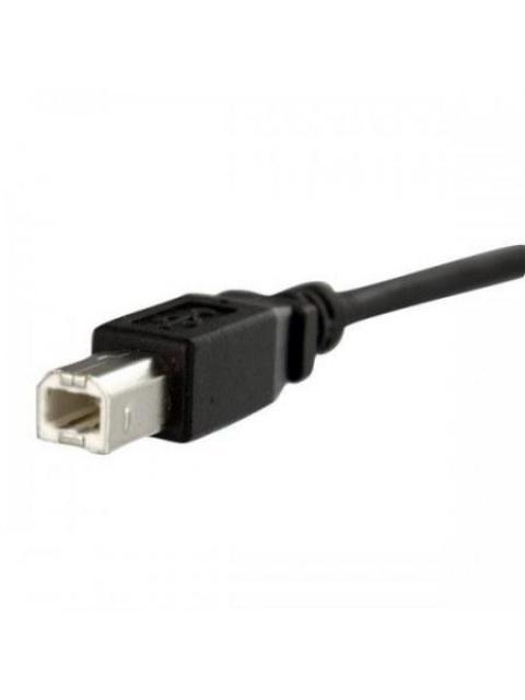 STARTECH  CABLE USB DE MONTAJE EN PANEL USB B MACHO - USB B HEMBRA 30CM NEGRO
