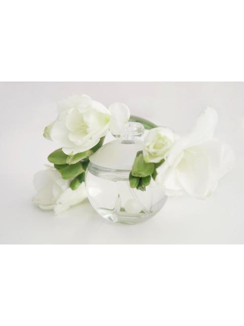 CACHAREL NOA EDT 100ML CAJA BLANCA