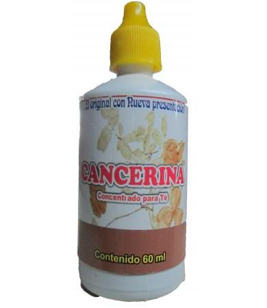 AMP. GINSENG PANAX + ANTIOXIDANTES C 10 GN+VIDA