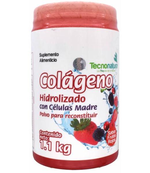 COLAGENO HIDROLIZADO FRUTOS ROJOS 1.1 KG TECNONATURA