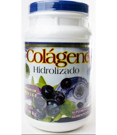 COLAGENO HIDROLIZADO SAB BLUEBERRY 1100 G YPENZA