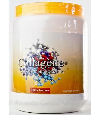 COLAGENO HIDROLIZADO SAB NARANJA 500 G COLLAGENE