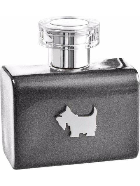 FERRIONI GREY TERRIER 100ML EDT SPRAY