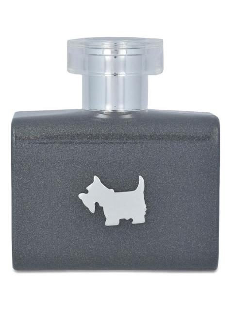 FERRIONI GREY TERRIER 100ML EDT SPRAY