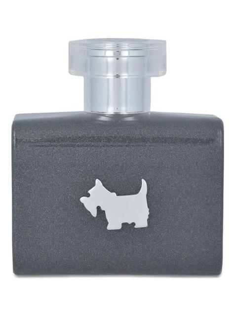 FERRIONI GREY TERRIER CABALLERO 100 ML EDT SPRAY
