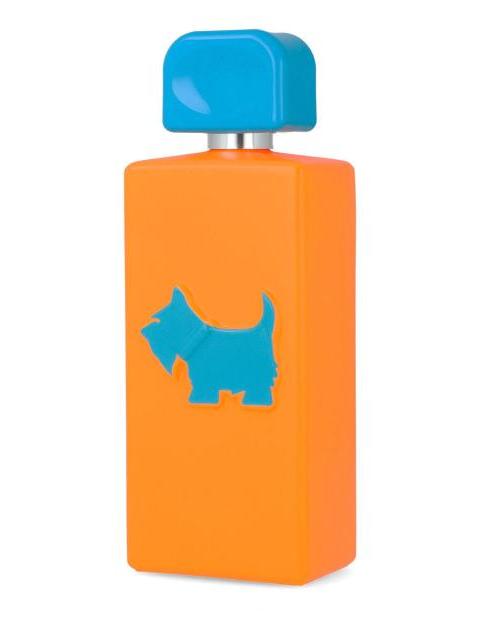 FERRIONI NEON HEY DUDE 100ML EDT SPRAY