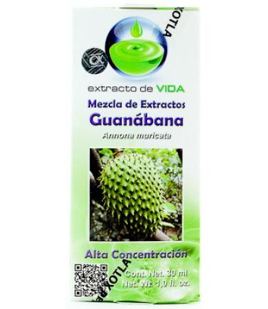 AMP. GINSENG PANAX + ANTIOXIDANTES C 10 GN+VIDA