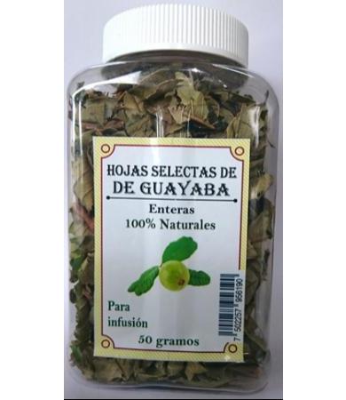 BEBIDA DE SABILA CUACHALALATE NOPAL 2 L FLOR DE ALOE