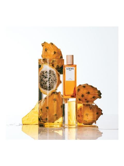 PERFUME SOLO ELLA DE LOEWE 100 ML EDT