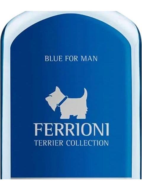 BODY MIST BLUE TERRIER 240ML AZUL FERRIONI