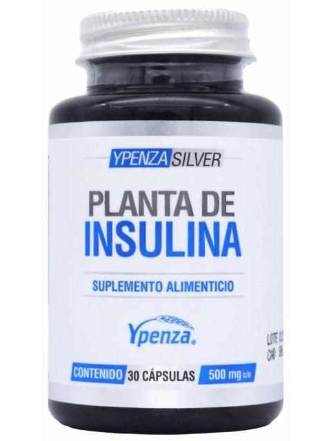 PLANTA DE INSULINA 30 CAP YPENZA SILVER