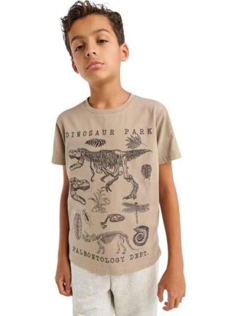 PLAYERA PLAYERA APLICACIONES CAMEL NEXT CO