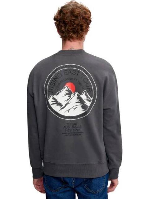SUDADERA ESTAMPADA GRIS NEXT CO
