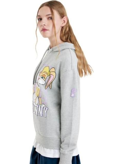 SUDADERA LICENCIA GRIS LOONEY TUNES